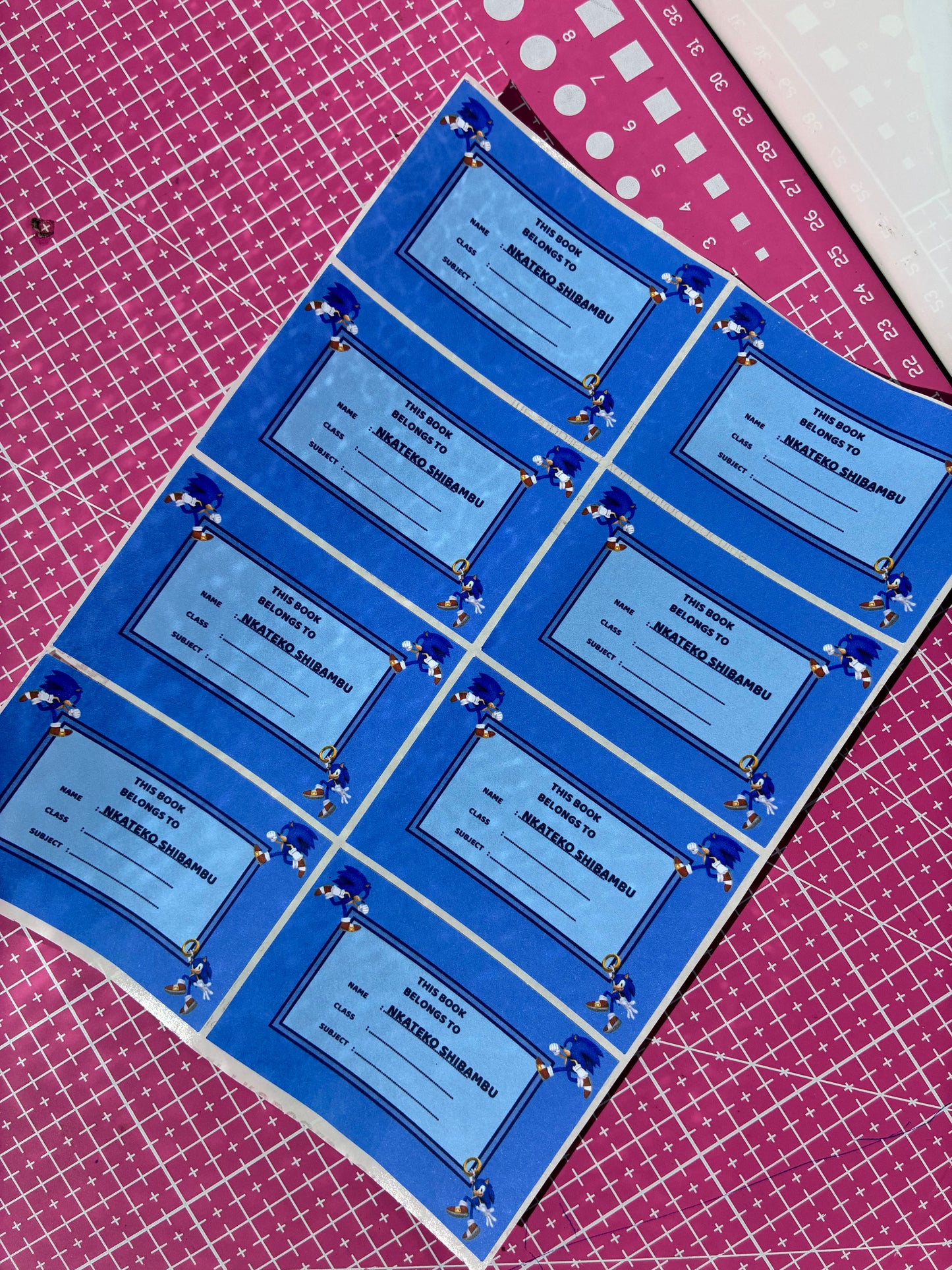 Budget School Labels (Non-Waterproof)