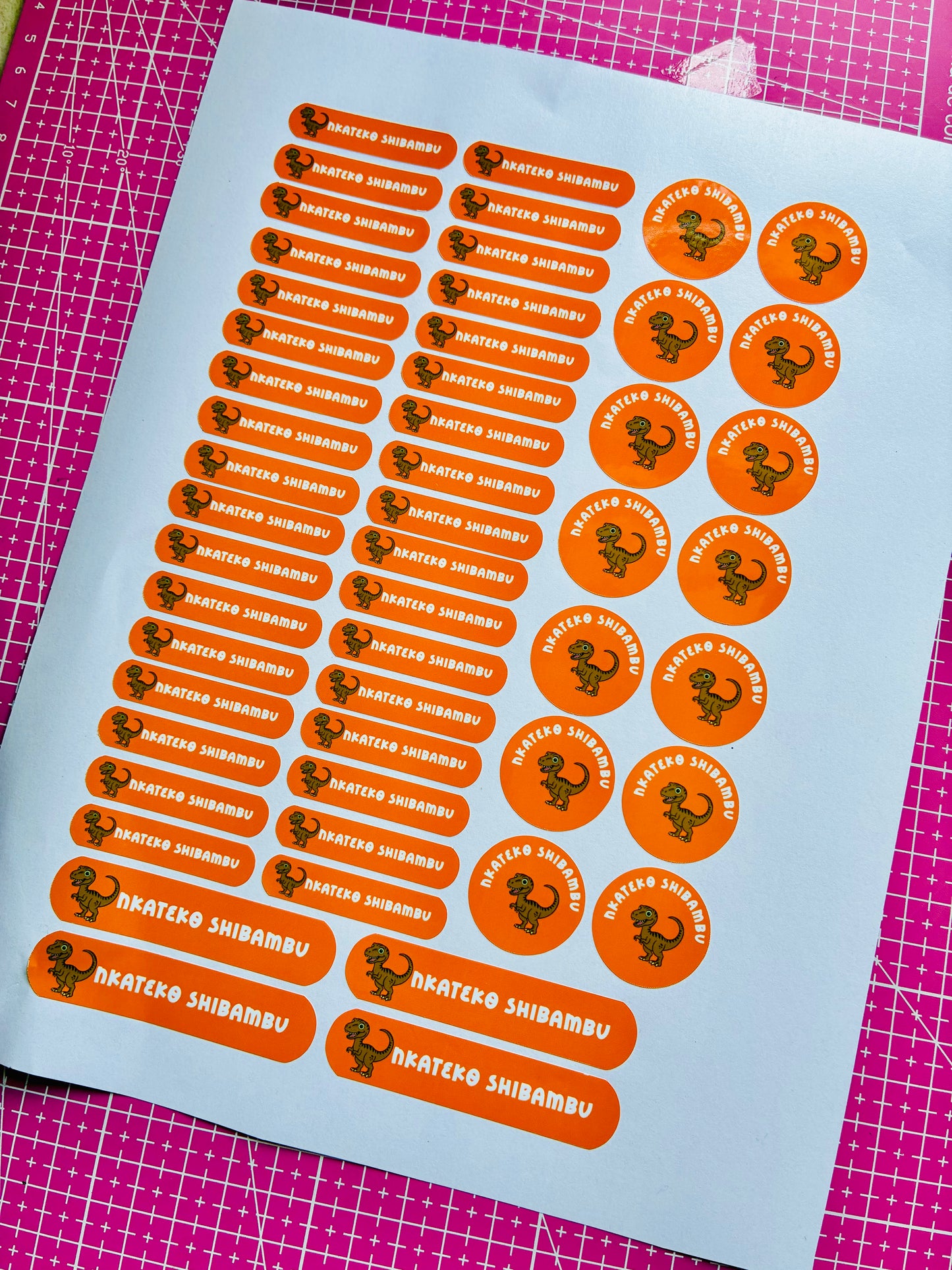 Waterproof School Labels (PET)